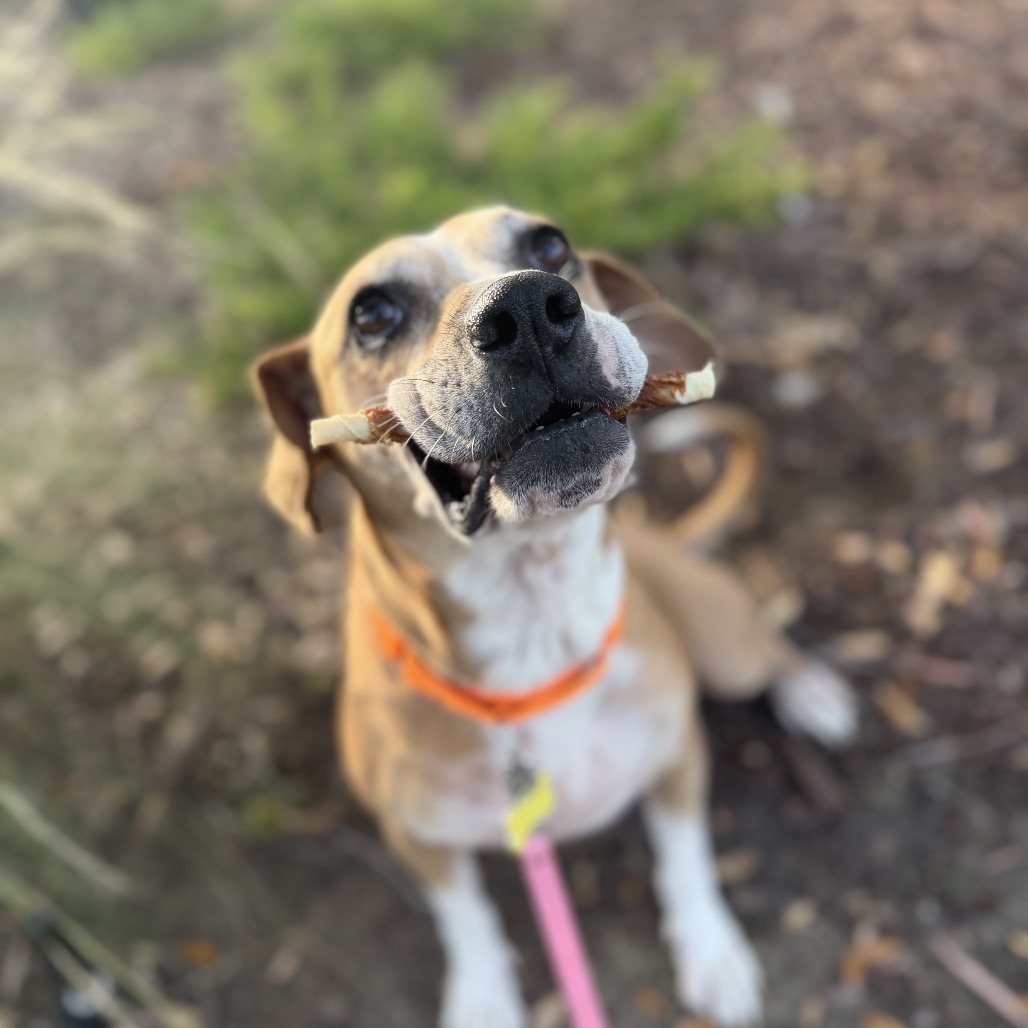 Hope, photo 8