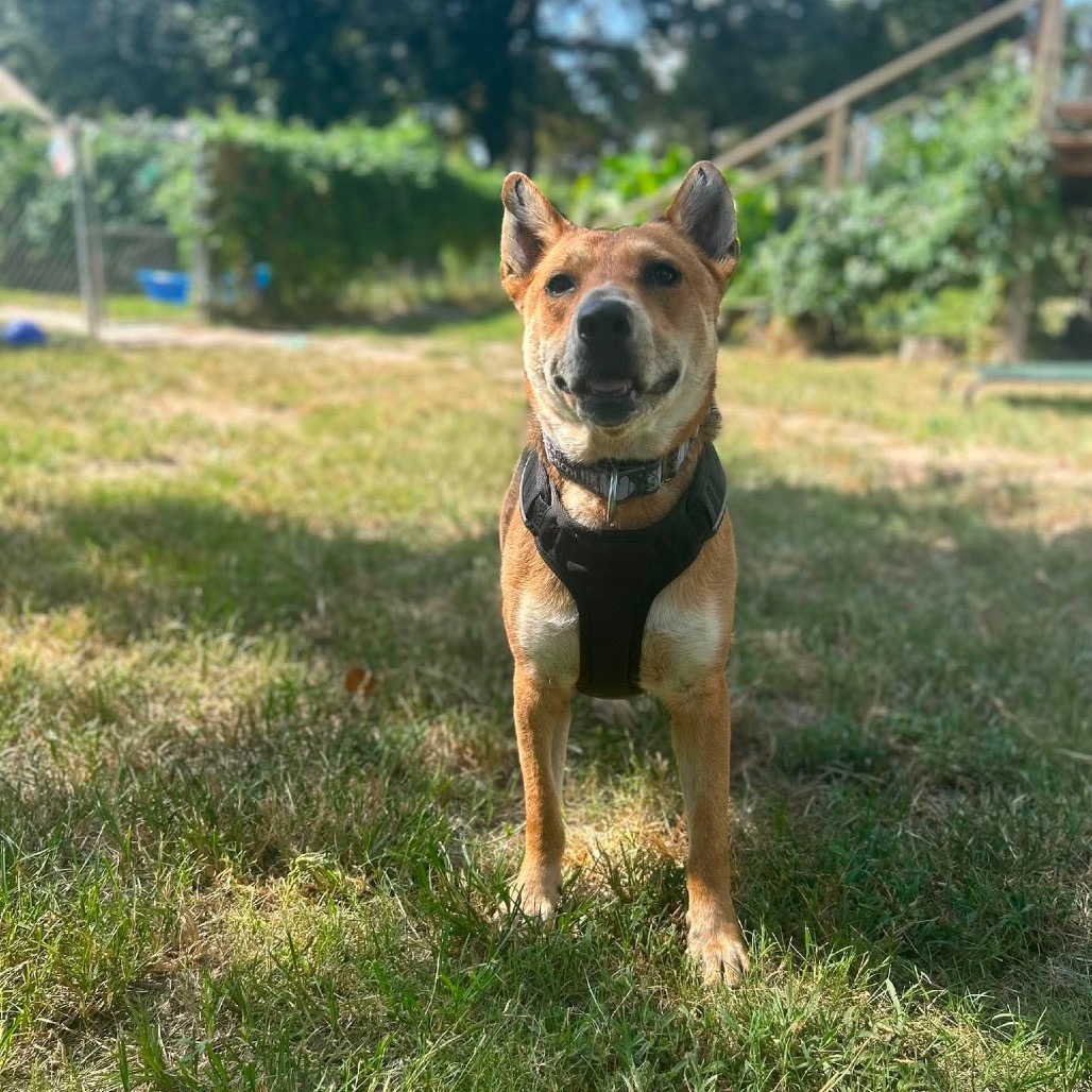 Reagan, photo 20