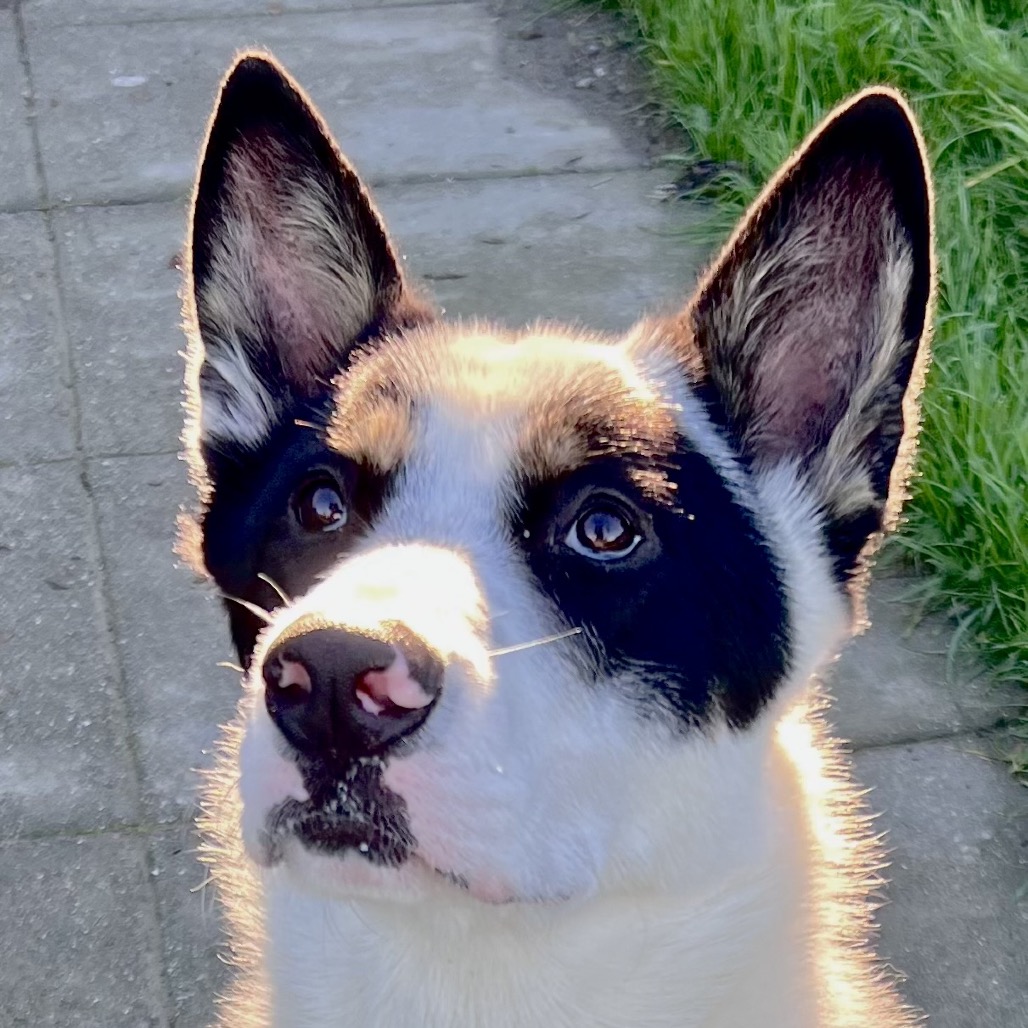 FREYA, photo 6