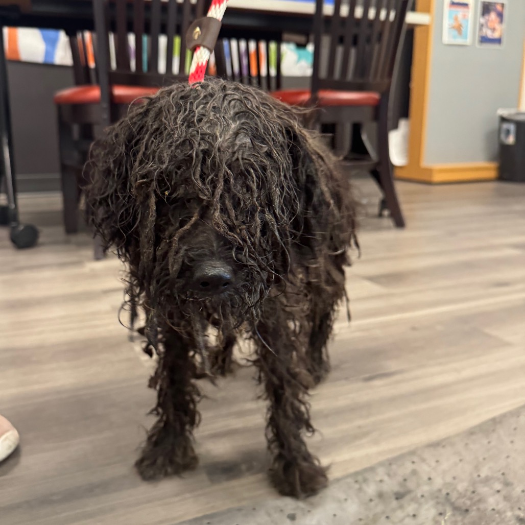 c6ab58beb2c455eaf8fd7628ff449fe6