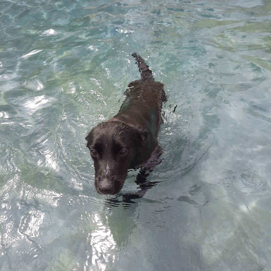 Ruby photo 12