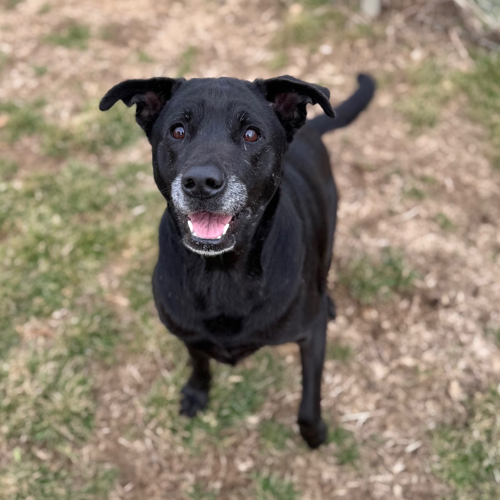 Journey — thumbnail 4