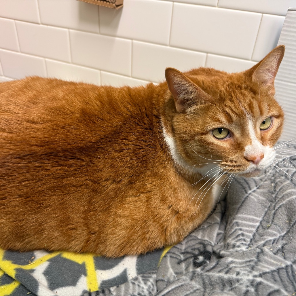 Photo of Freddy and QZ 4