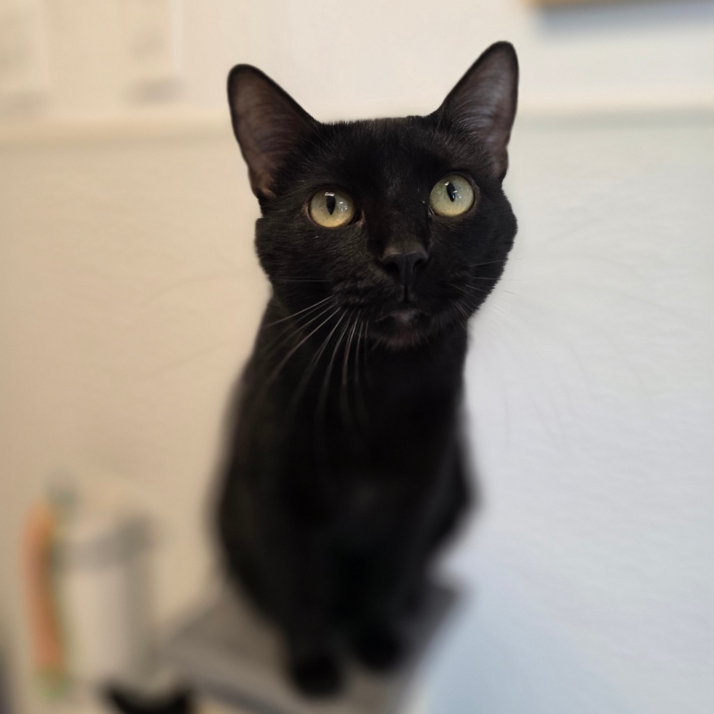 Binxy