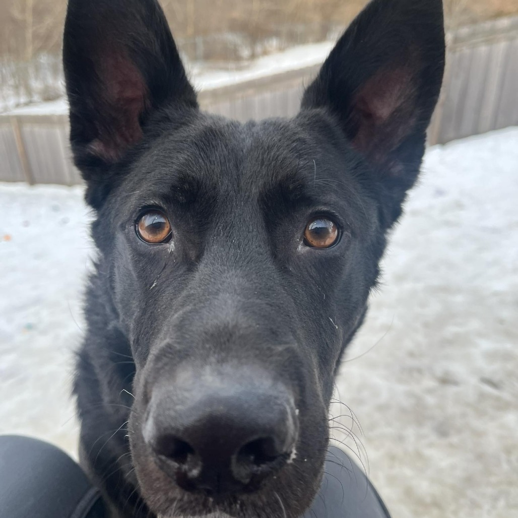 Mystery — thumbnail 2