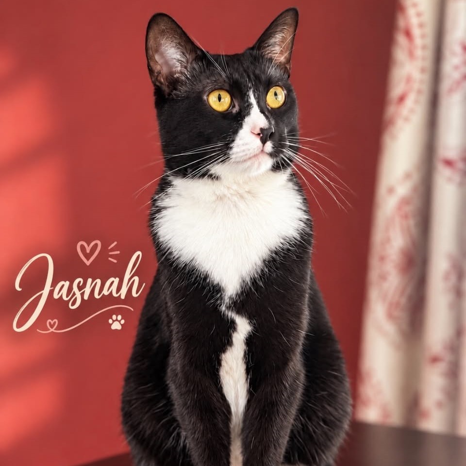 Jasnah