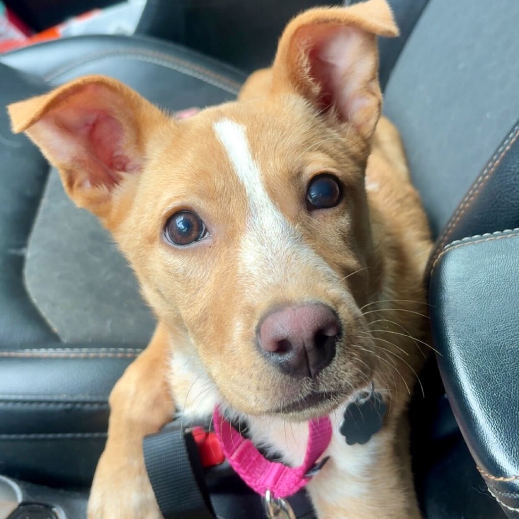 Esther