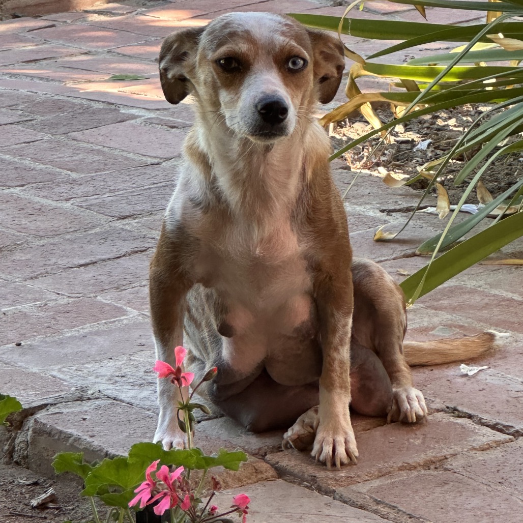 Gloria, photo 4