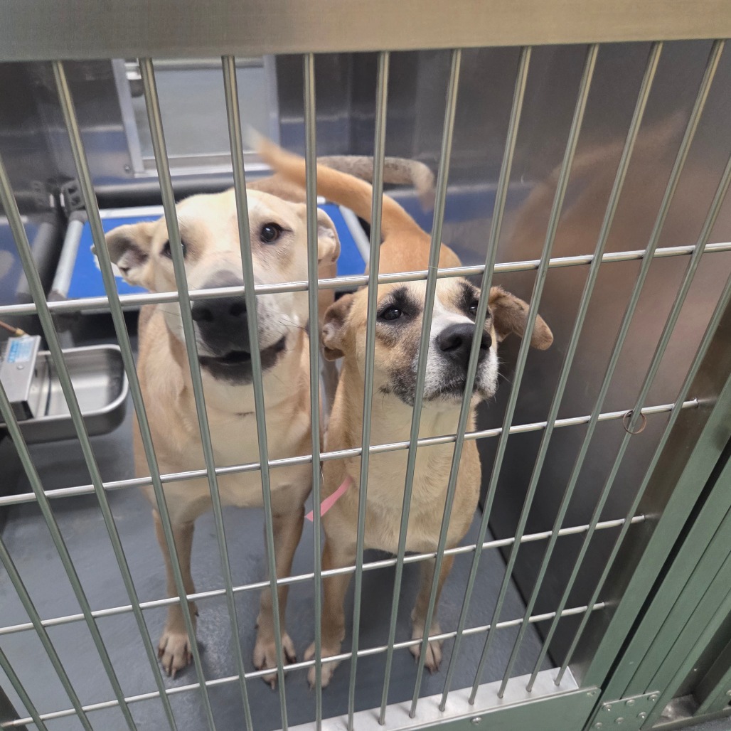 Molly — thumbnail 3