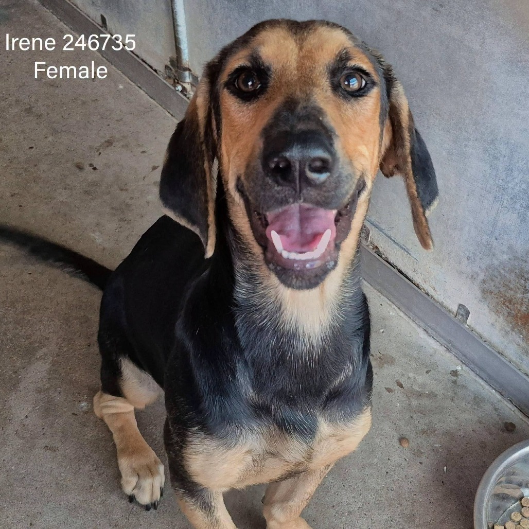Irene, photo 3