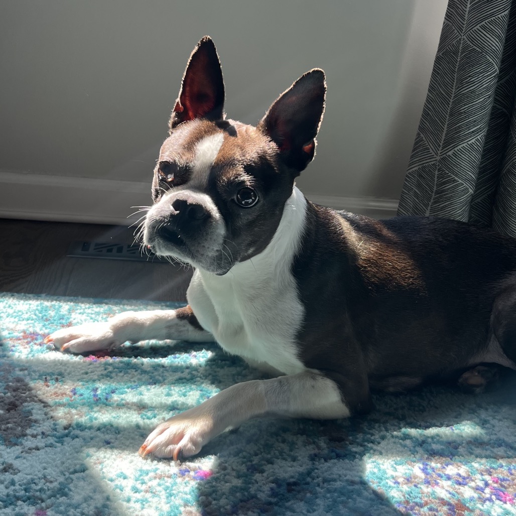 Little Luna
