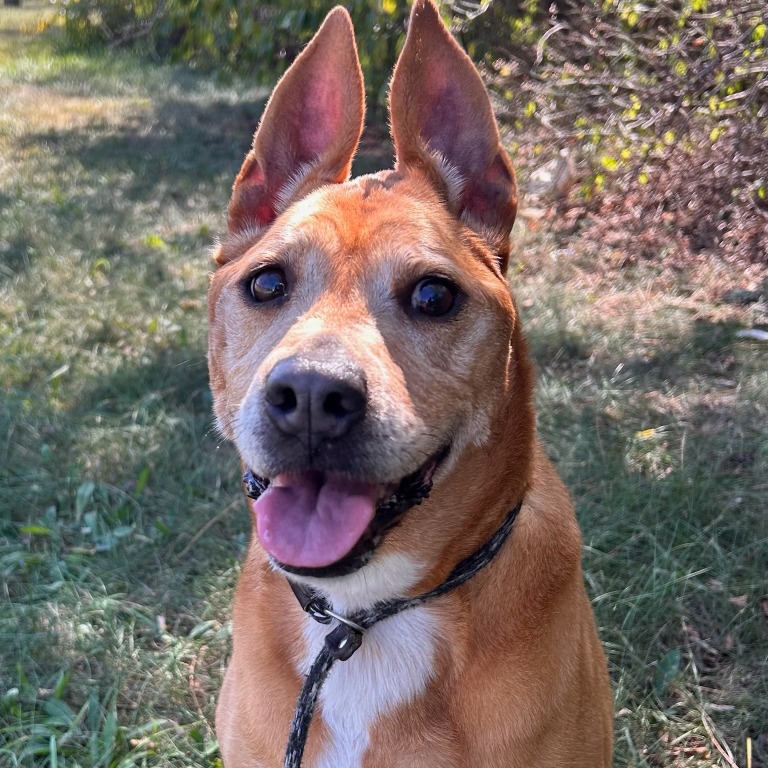 Reba — thumbnail 2