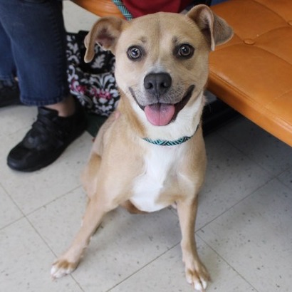 Georgia