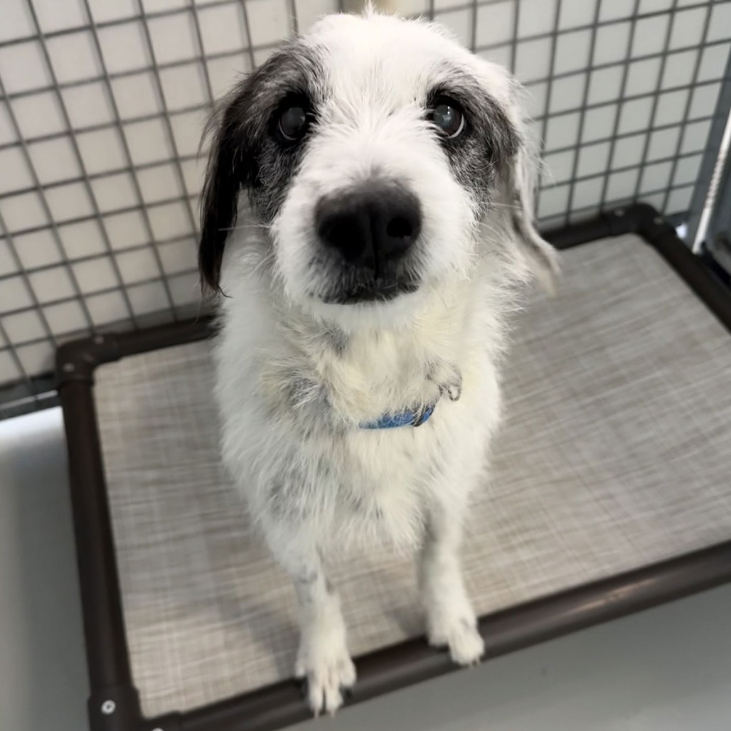 LYLA — thumbnail 2