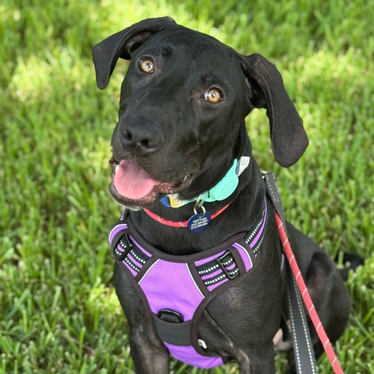 Maggie5, photo 6