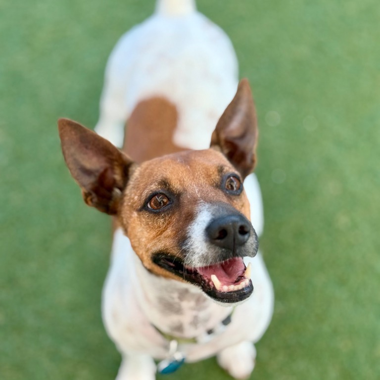 Full body shot of Ian