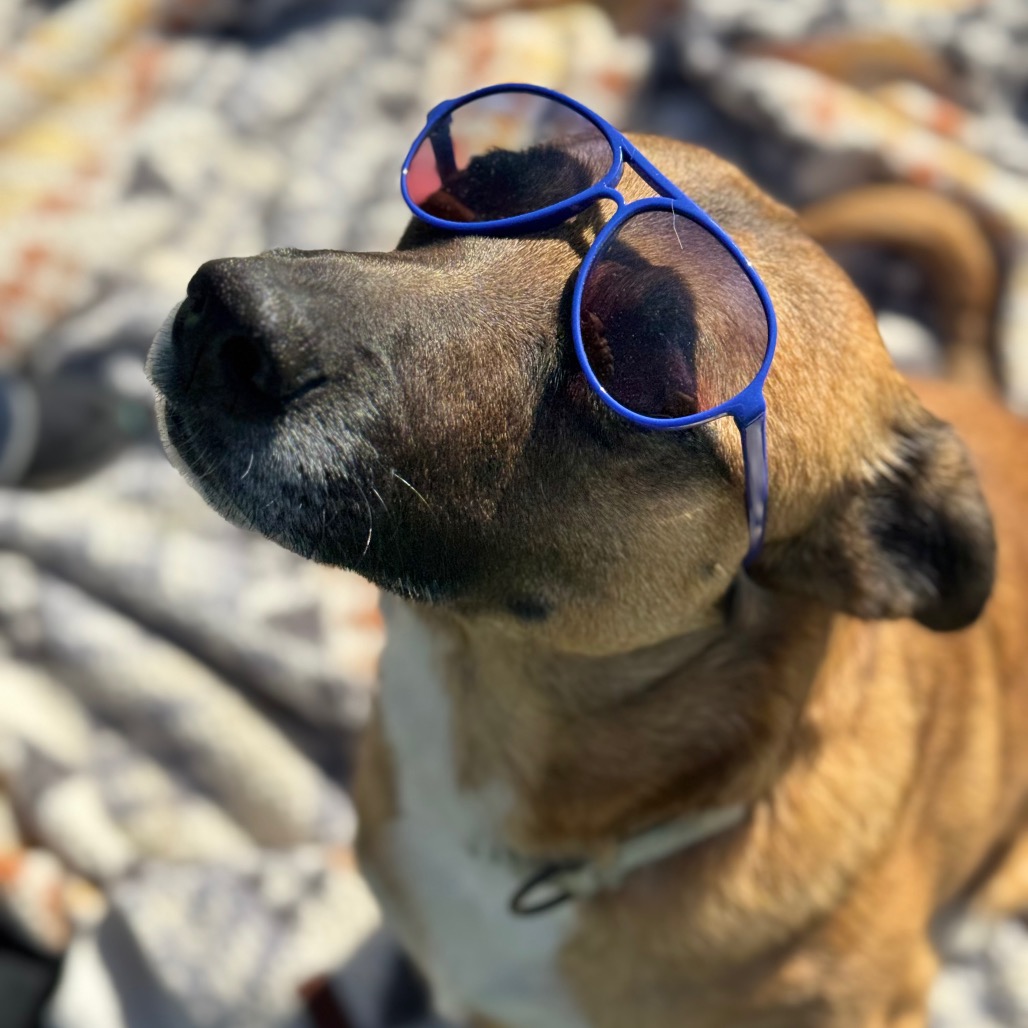 Bubz, photo 25