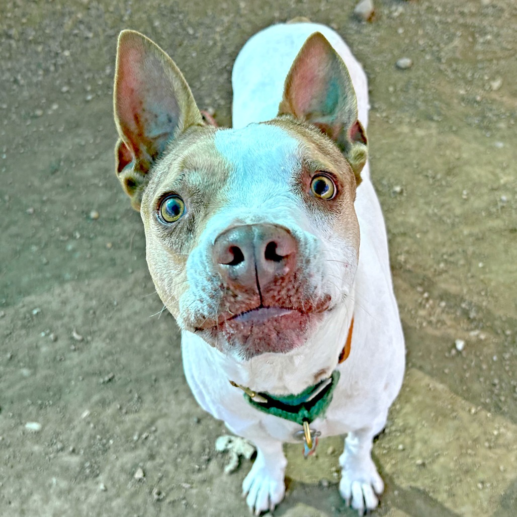 Cash, additional photo