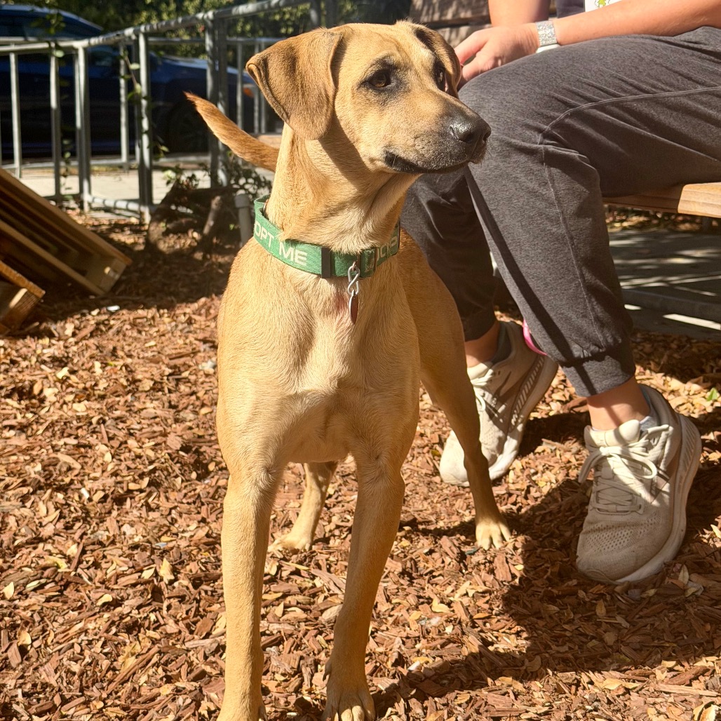 NALA, photo 4