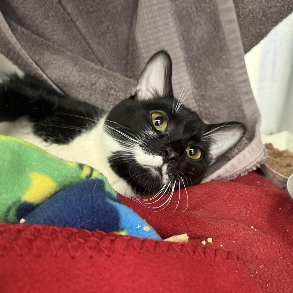 Photo of Everglade 3