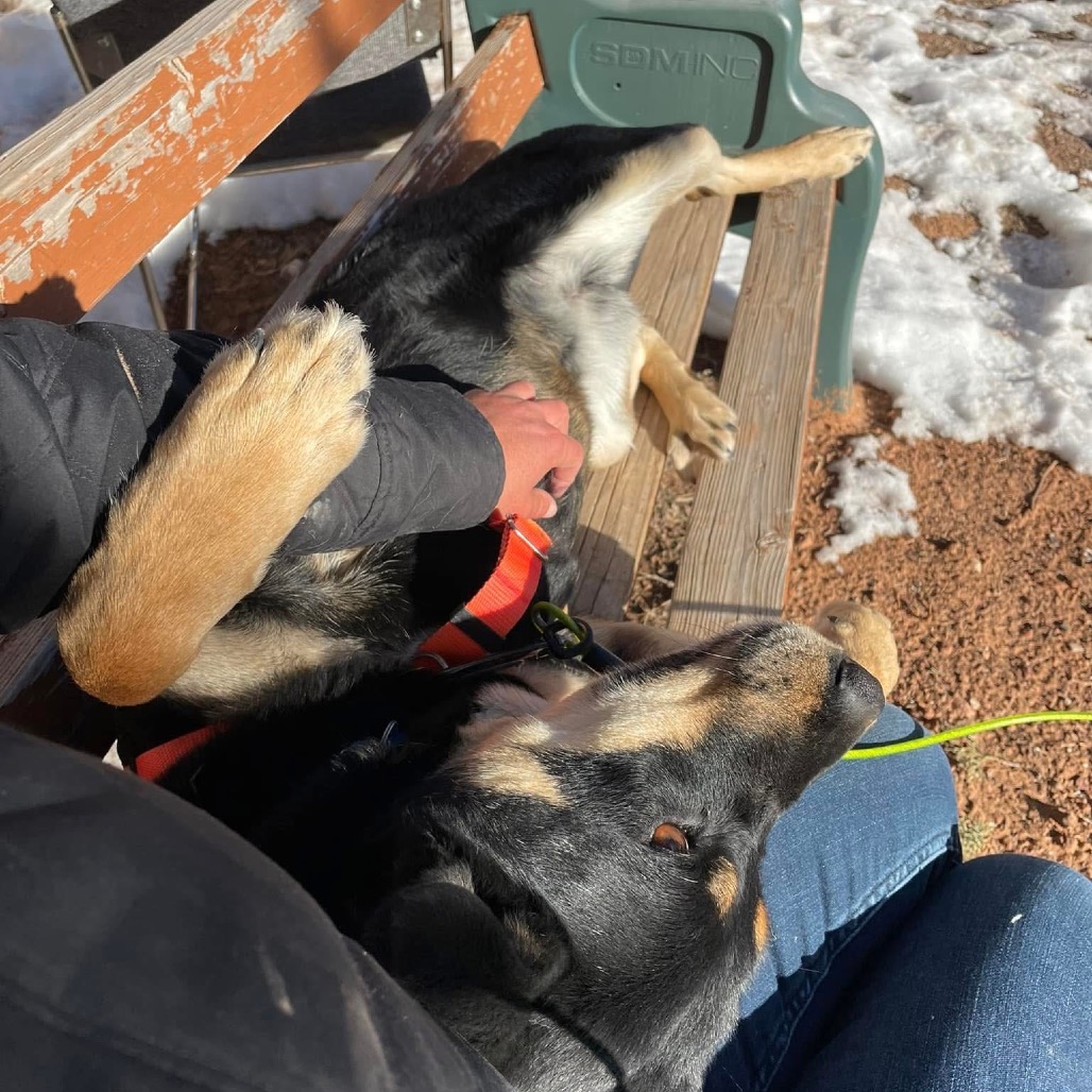 Roxy, photo 18
