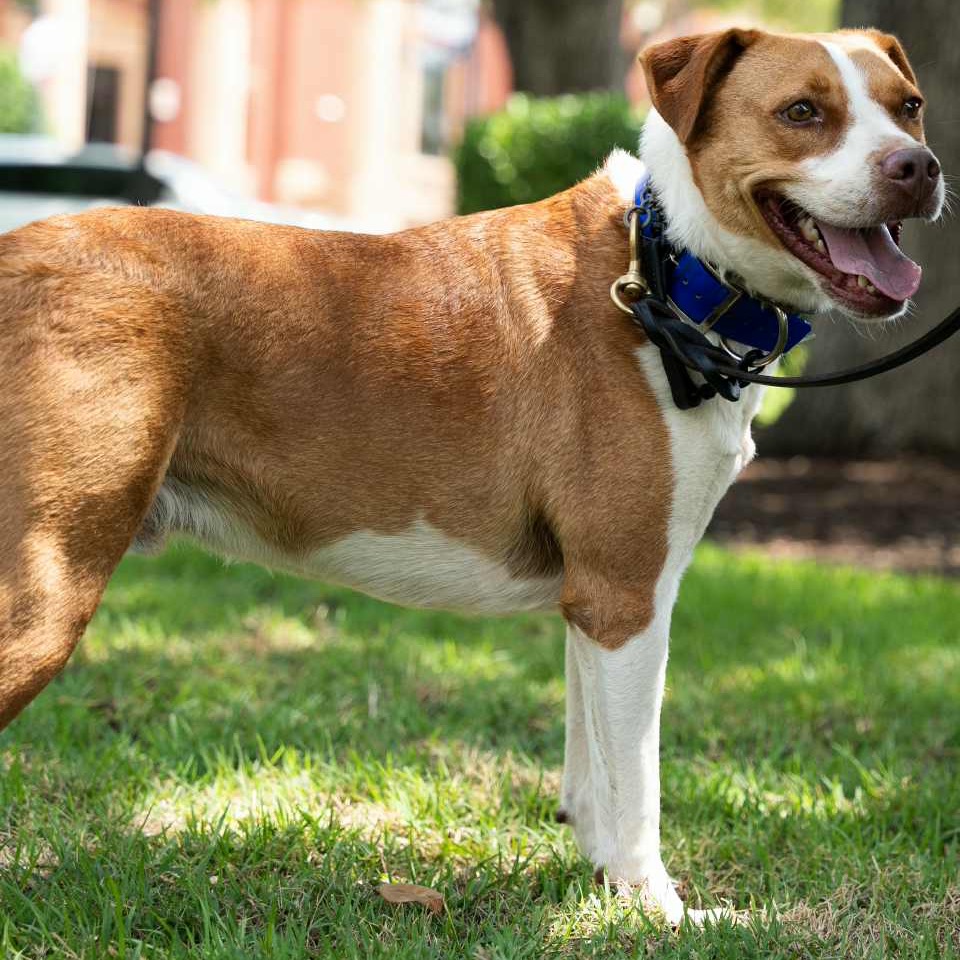 Photo of Tex
