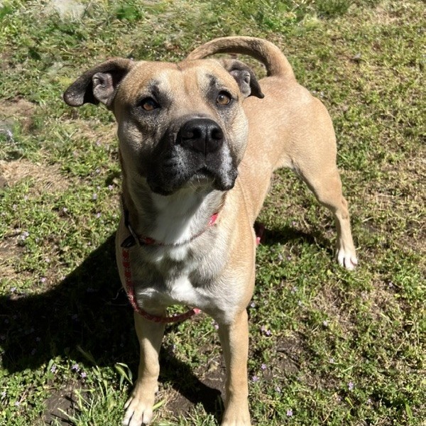 Kennel#5 's preview photo