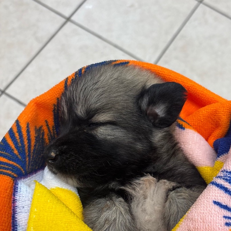 Sleepy