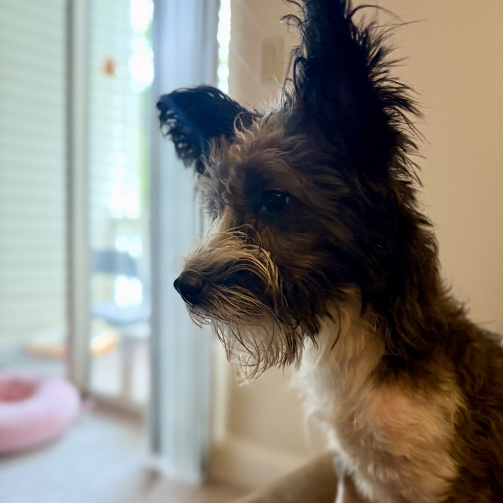 Sally, photo 22