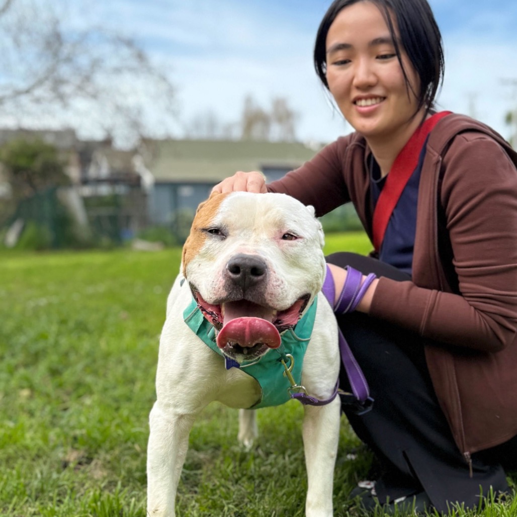 Gucci — thumbnail 3