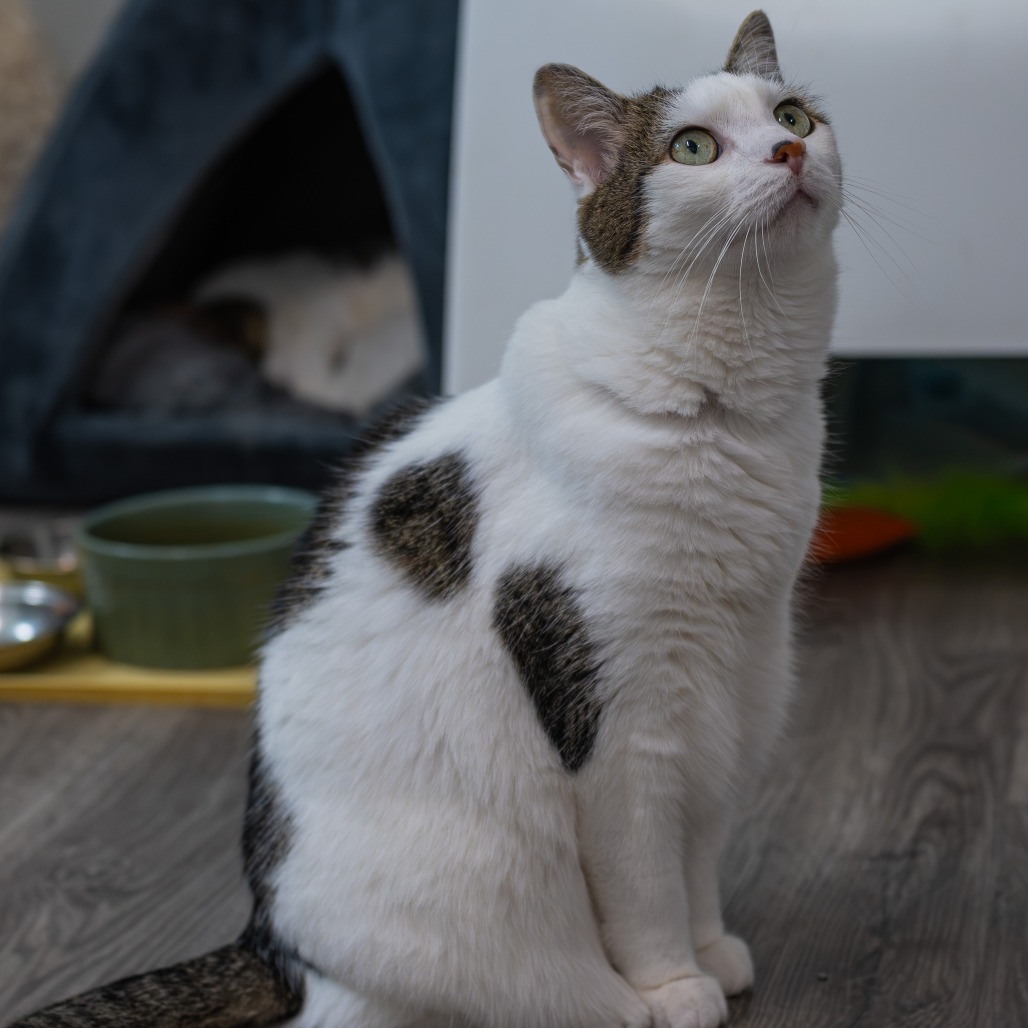 Fuzz, photo 9