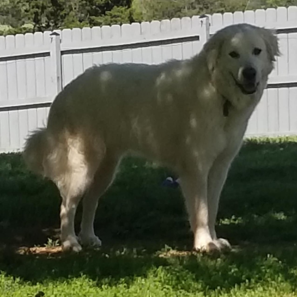 Yuki, photo 4