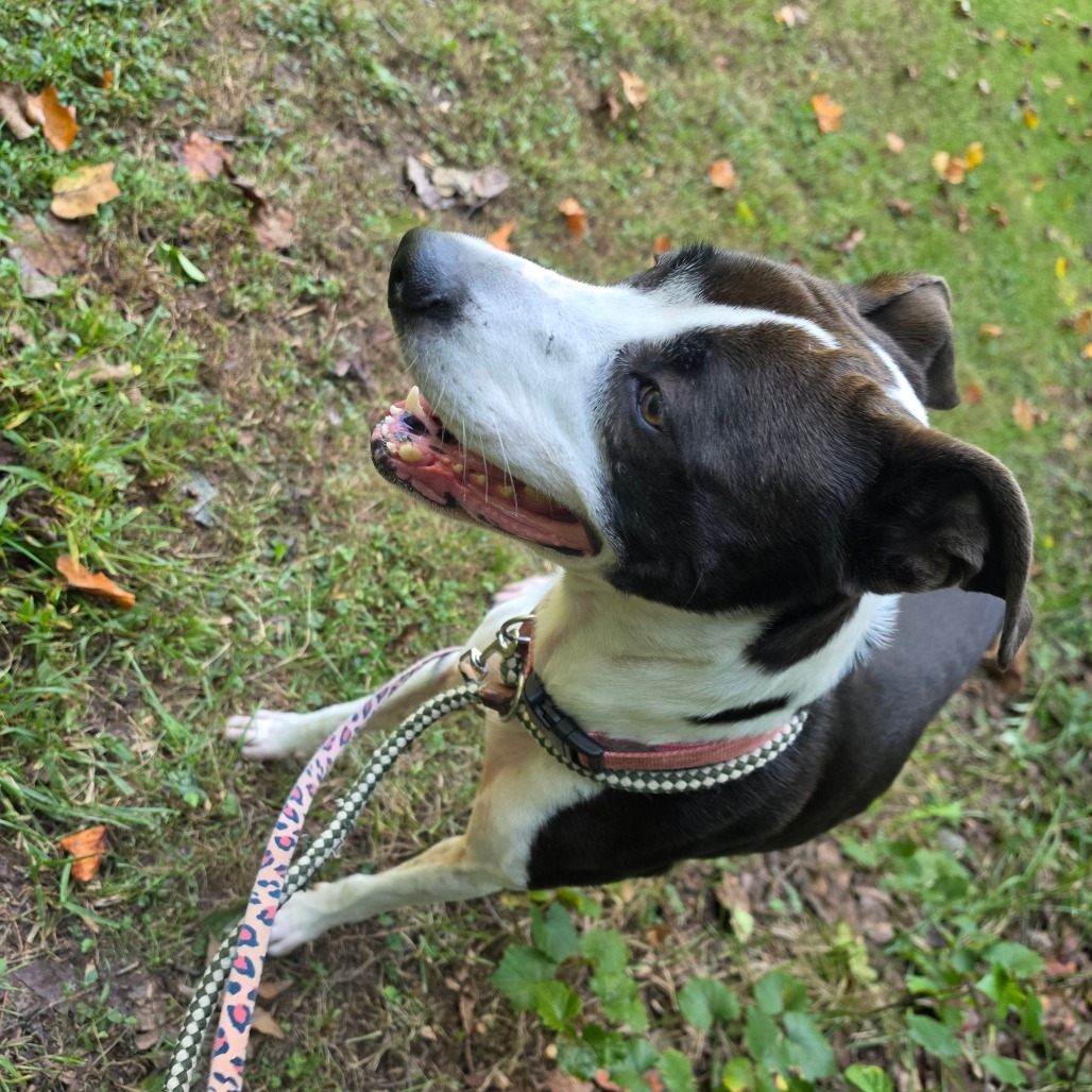 Lulu III, photo 4