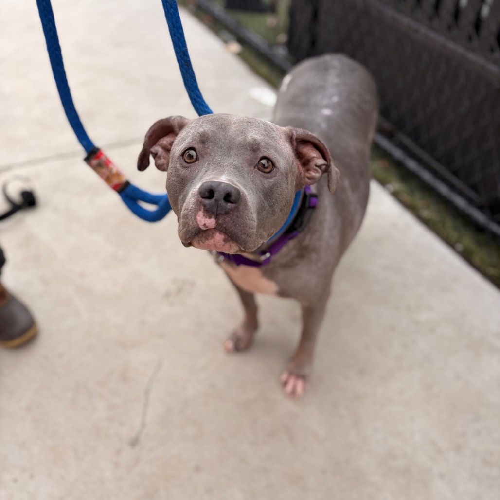 Jordan — thumbnail 4