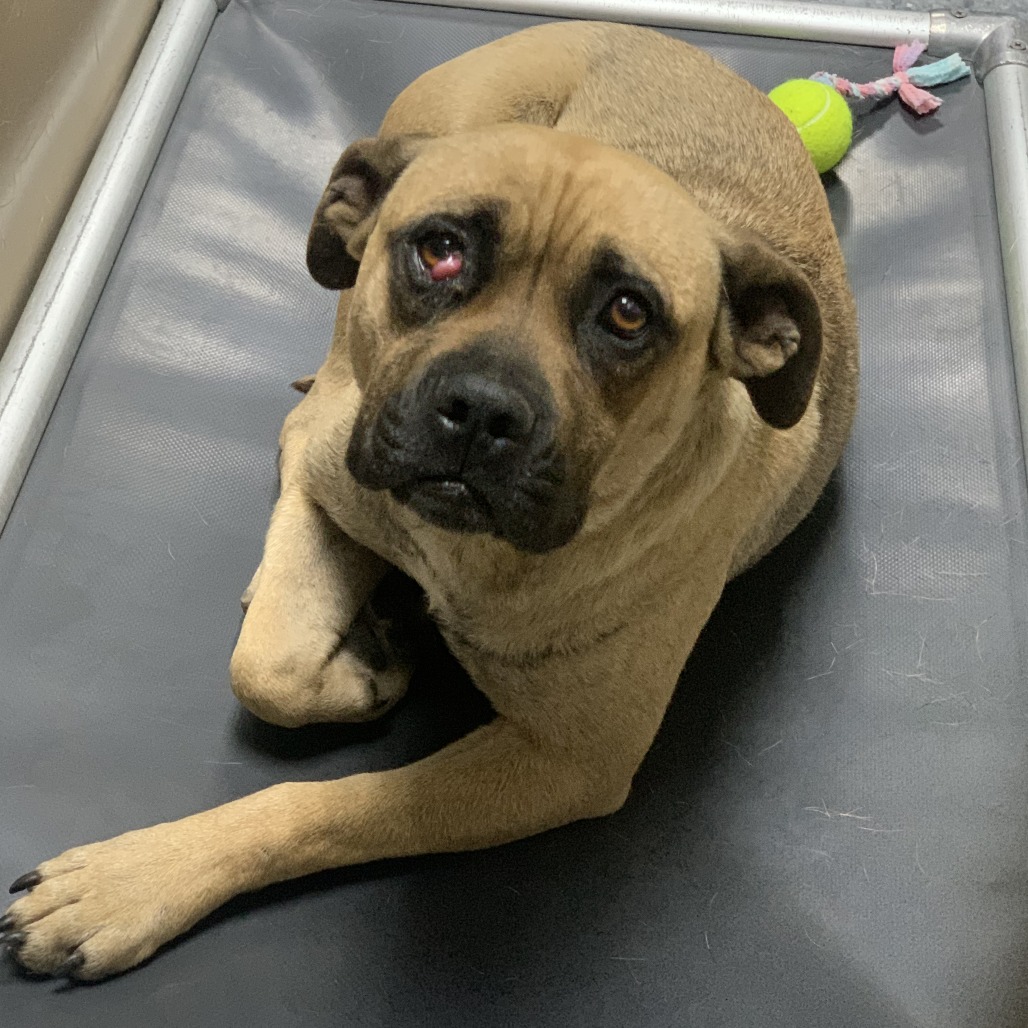 Kennel#8 Rose's preview photo