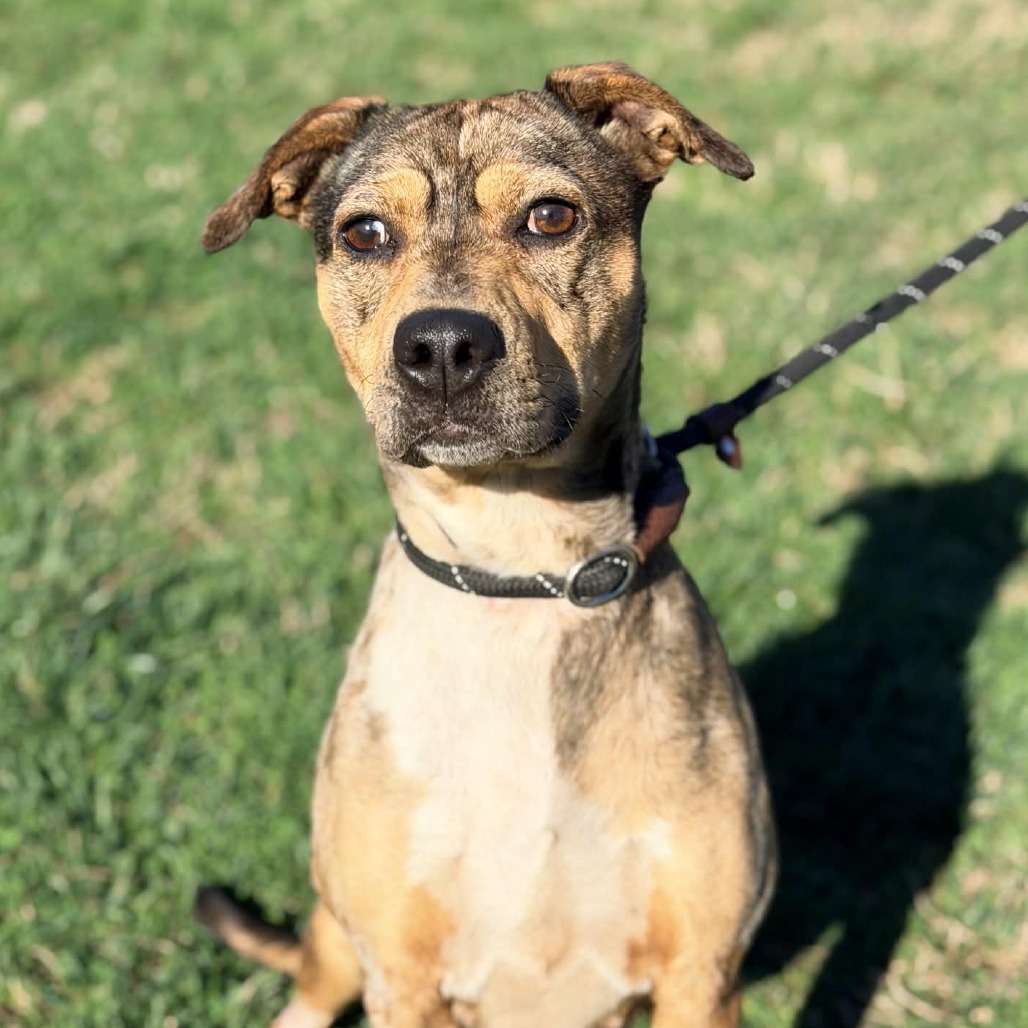 Aloha — thumbnail 4