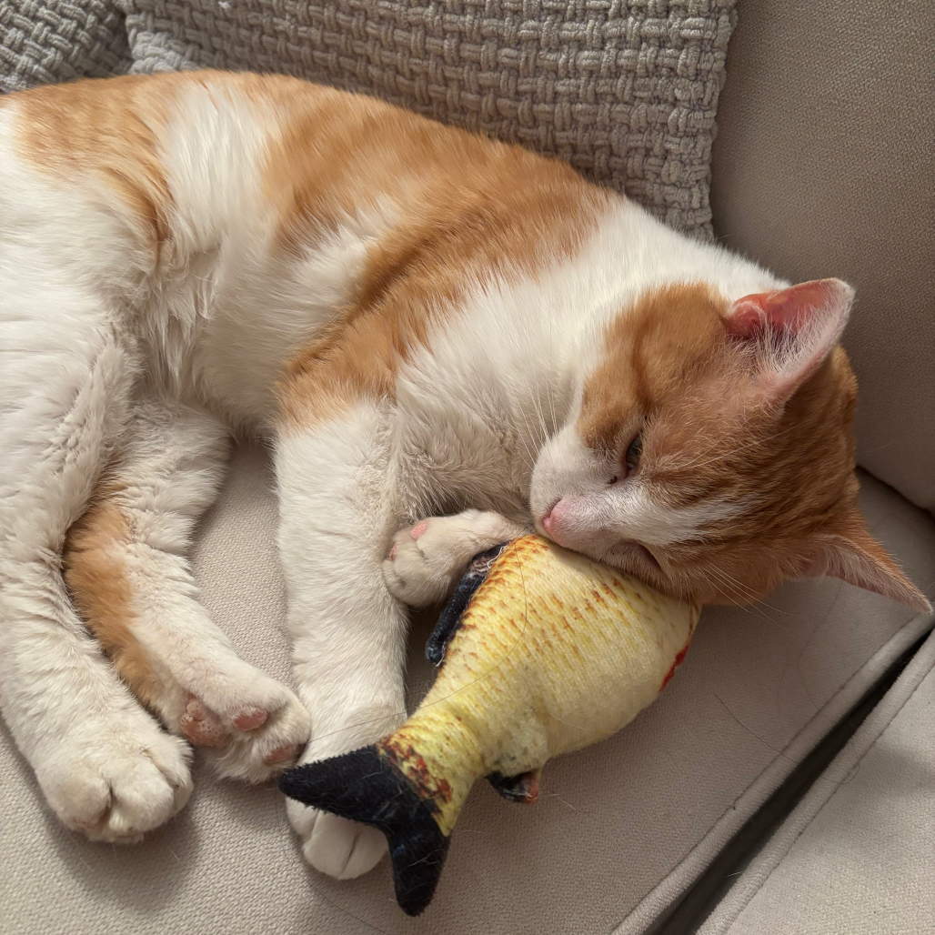 Miles — thumbnail 4