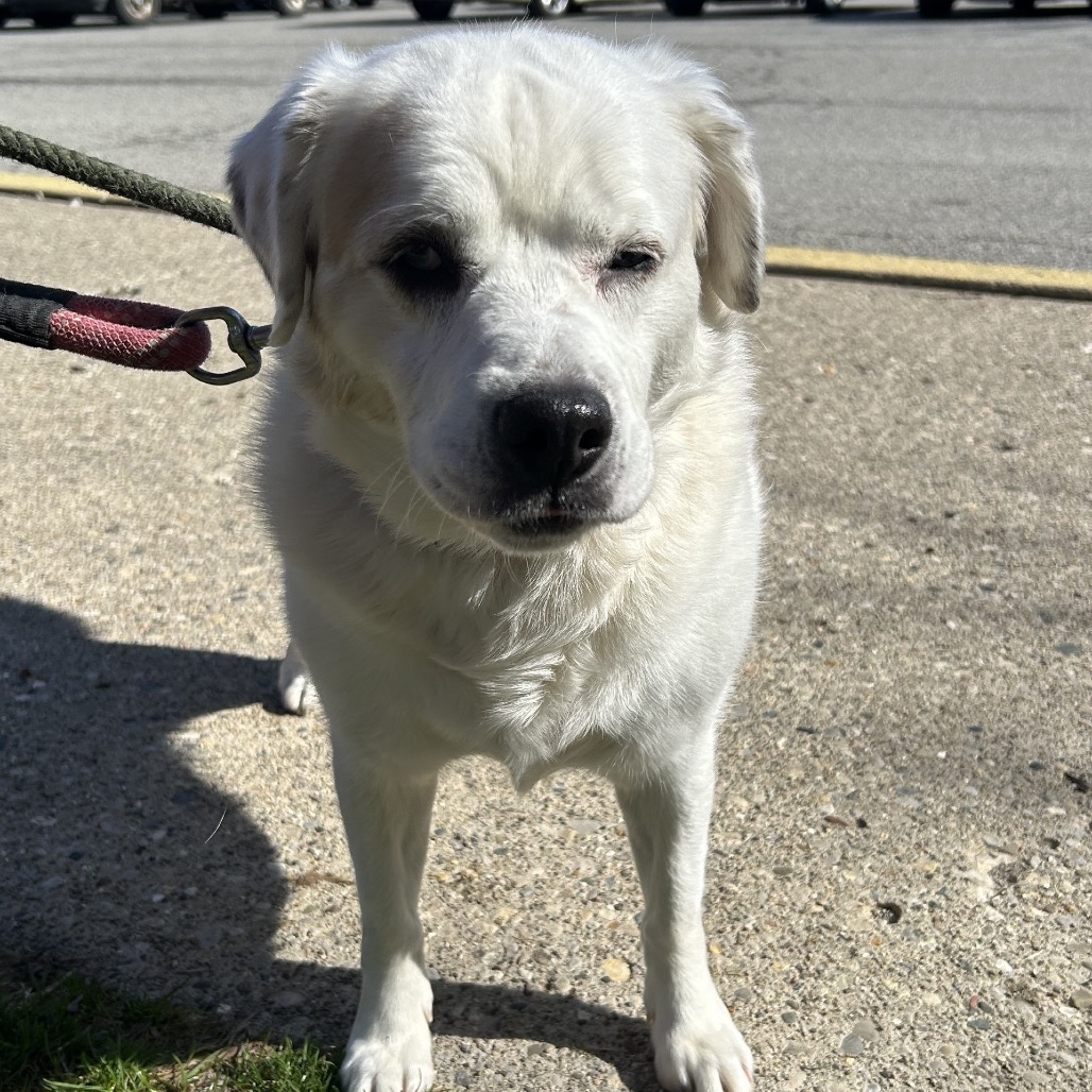 Audit — thumbnail 3