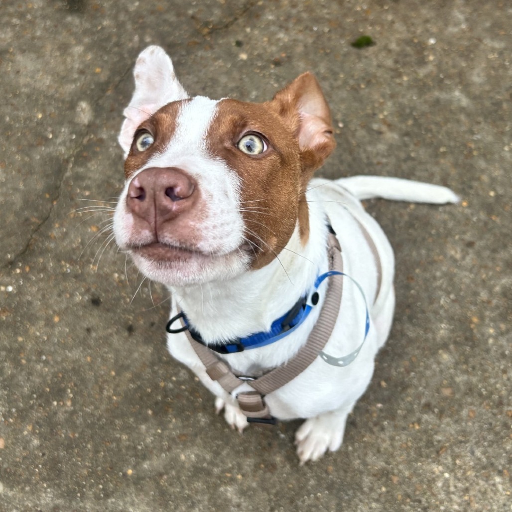 Creed — thumbnail 9