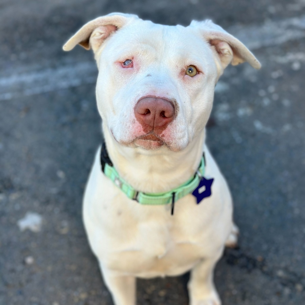 Jodi — thumbnail 2