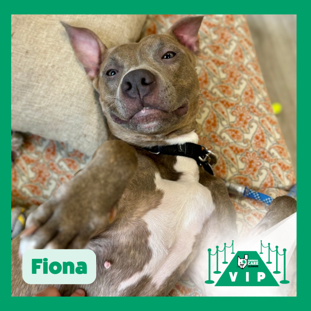 Fiona