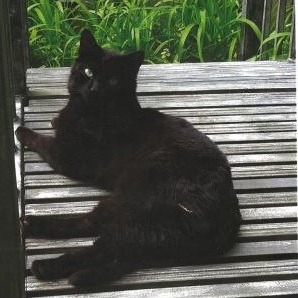 Photo of Skinny tail