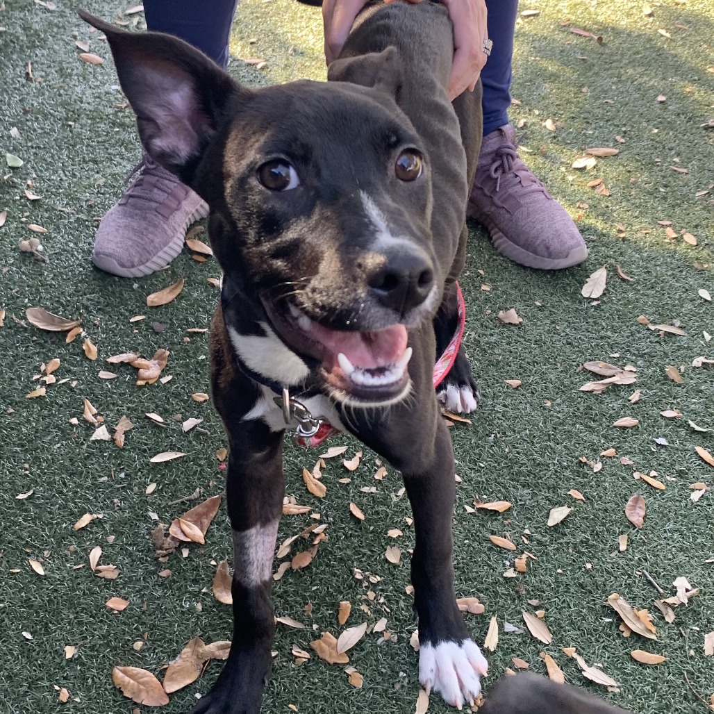 Keke — thumbnail 6