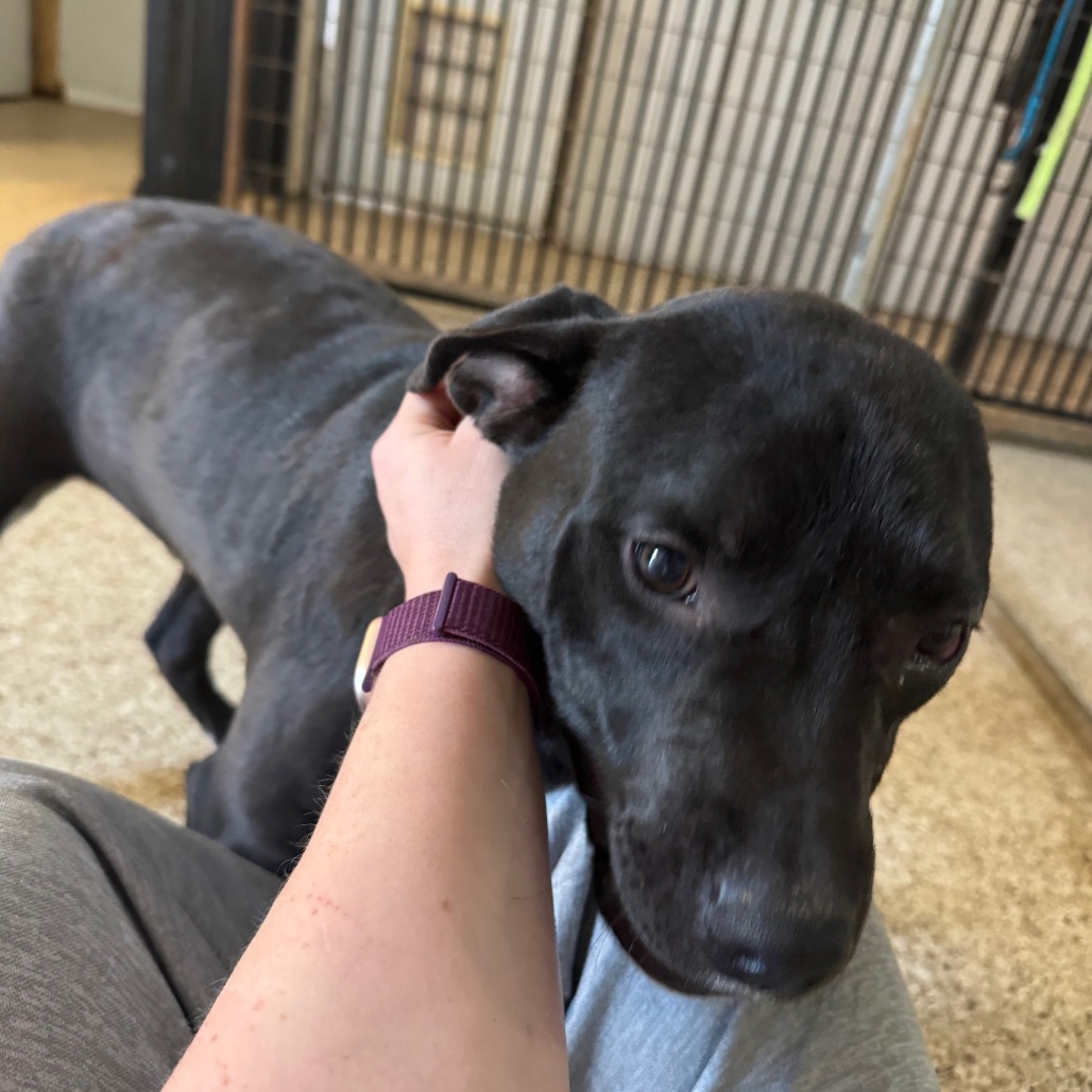 O'Beirne — thumbnail 2