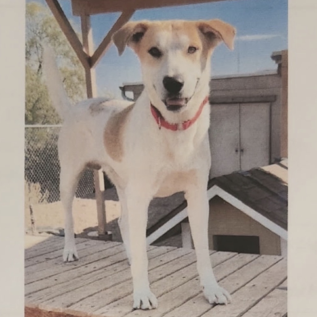 Colby (Courtesy Listing)