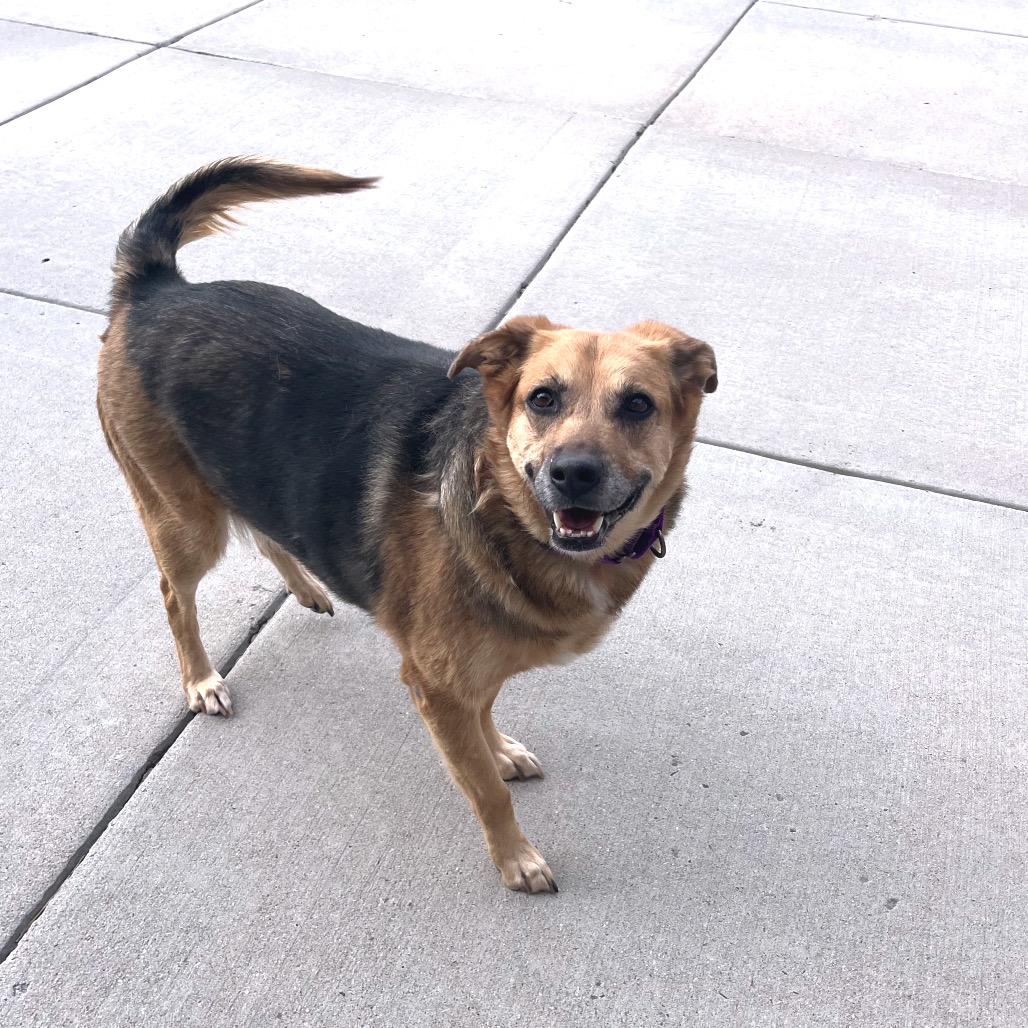 Lucy, photo 6