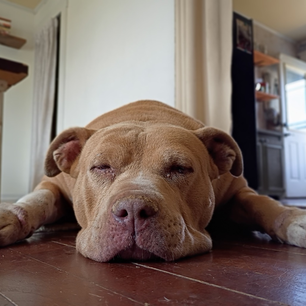 Ellie Belly, additional photo