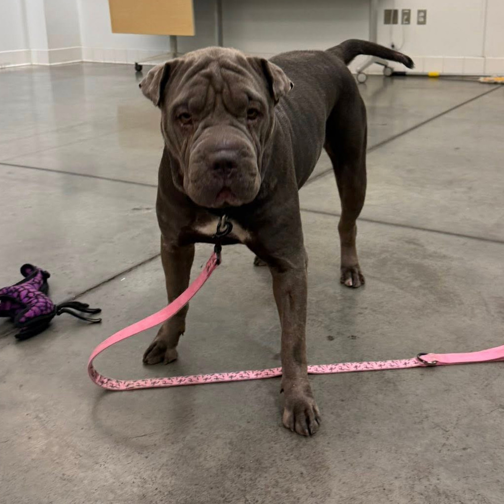 Photo of Gwendolyn  5