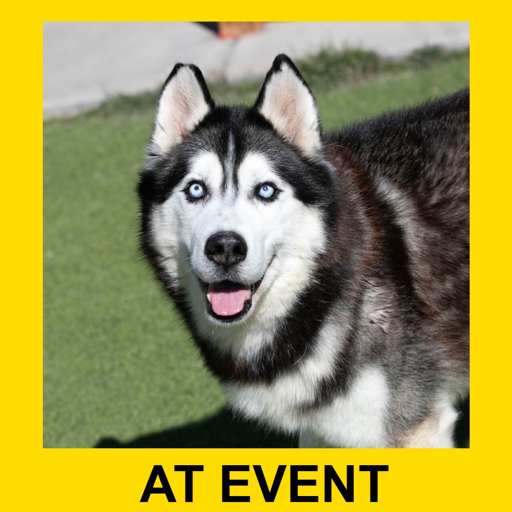 Oliver (F26-09), photo 16