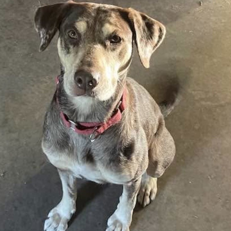 Photo of Reese